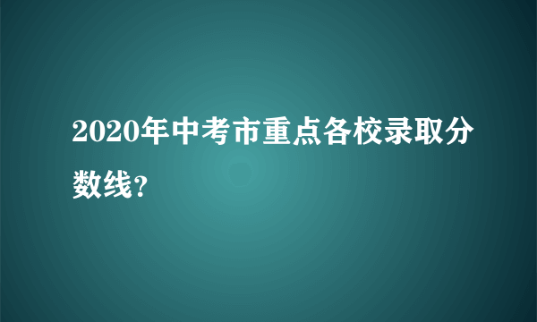 2020年中考市重点各校录取分数线？
