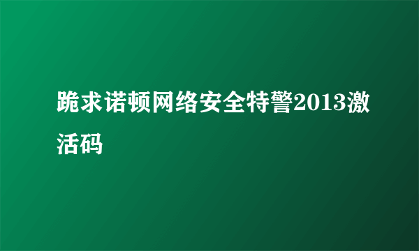 跪求诺顿网络安全特警2013激活码