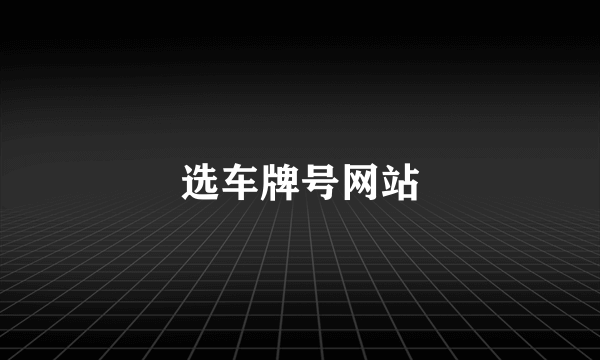 选车牌号网站