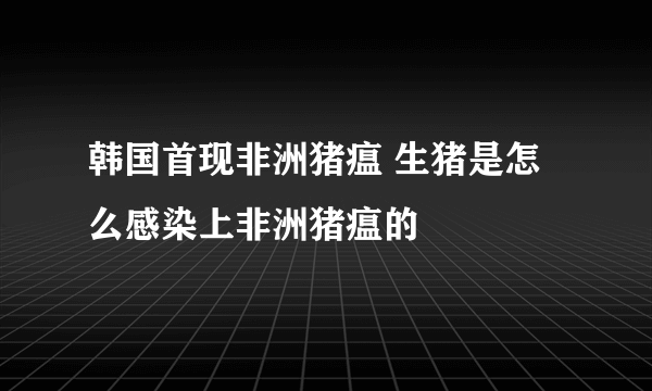 韩国首现非洲猪瘟 生猪是怎么感染上非洲猪瘟的