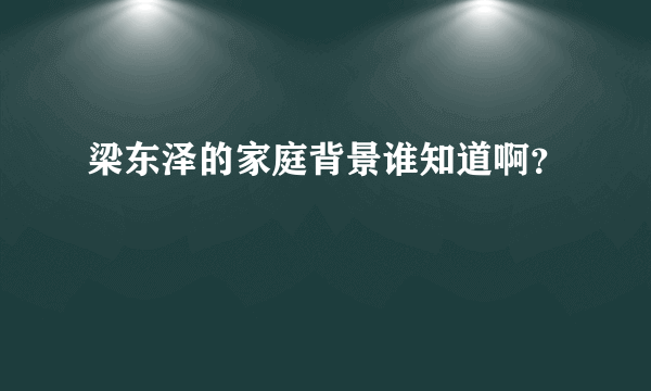 梁东泽的家庭背景谁知道啊？