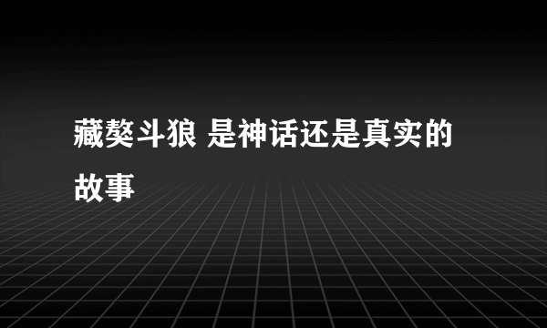 藏獒斗狼 是神话还是真实的故事