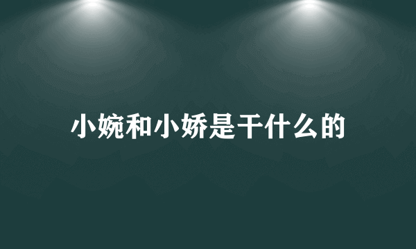 小婉和小娇是干什么的