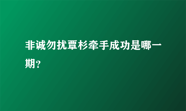 非诚勿扰覃杉牵手成功是哪一期？