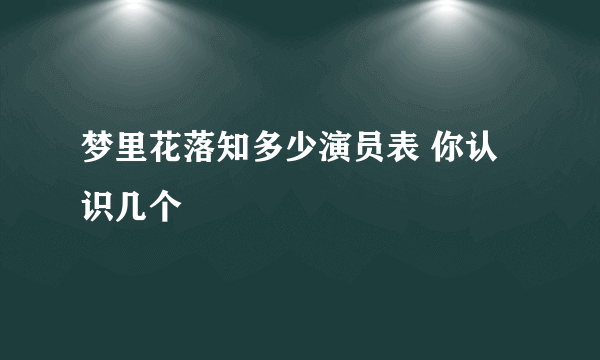 梦里花落知多少演员表 你认识几个
