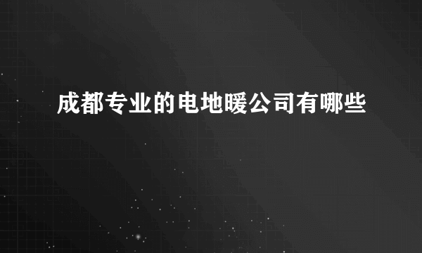 成都专业的电地暖公司有哪些