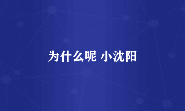 为什么呢 小沈阳