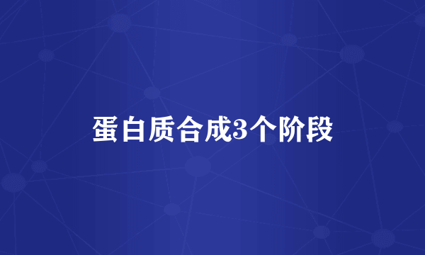 蛋白质合成3个阶段