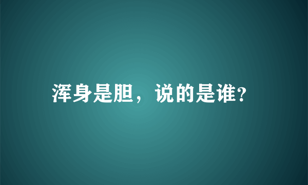 浑身是胆，说的是谁？
