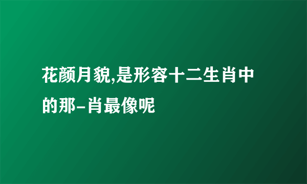花颜月貌,是形容十二生肖中的那-肖最像呢