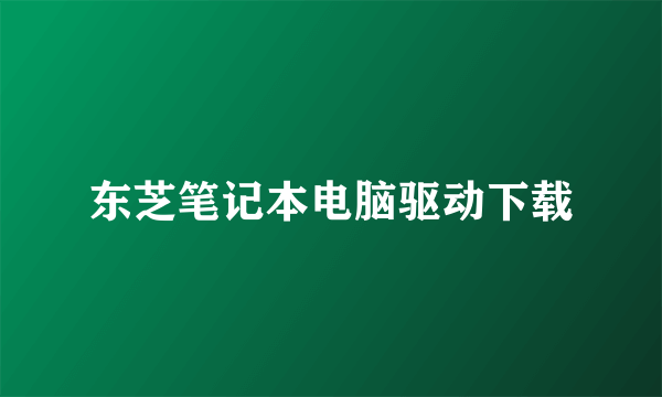 东芝笔记本电脑驱动下载