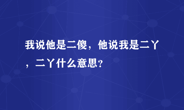 我说他是二傻，他说我是二丫，二丫什么意思？