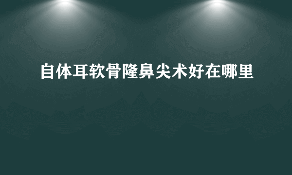 自体耳软骨隆鼻尖术好在哪里