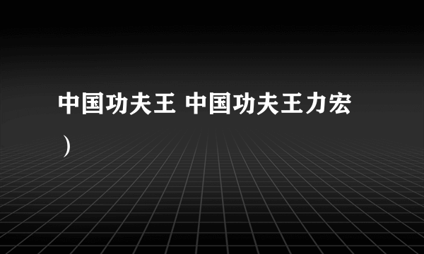 中国功夫王 中国功夫王力宏）