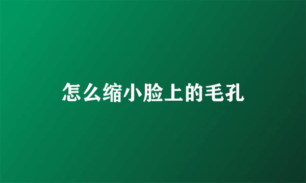 怎么缩小脸上的毛孔