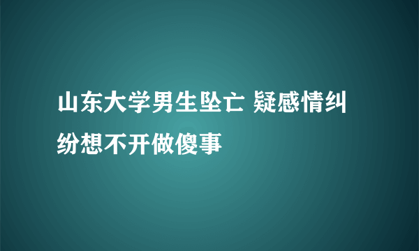 山东大学男生坠亡 疑感情纠纷想不开做傻事