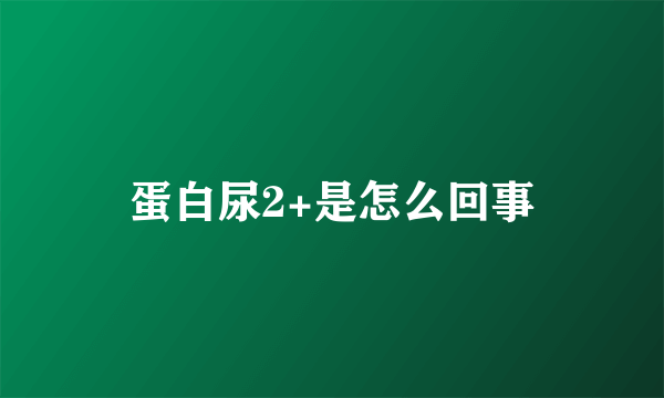 蛋白尿2+是怎么回事