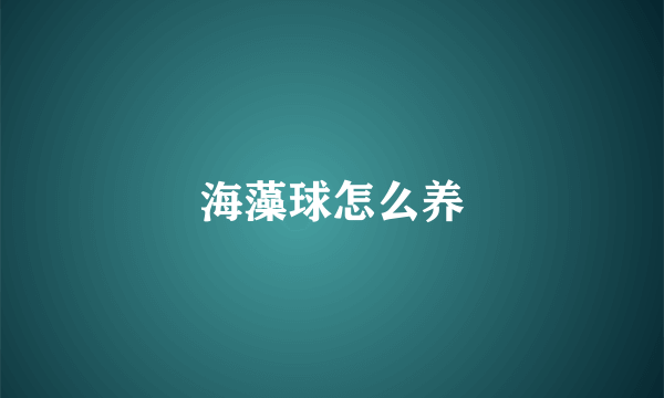 海藻球怎么养