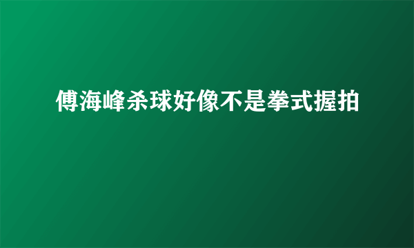 傅海峰杀球好像不是拳式握拍