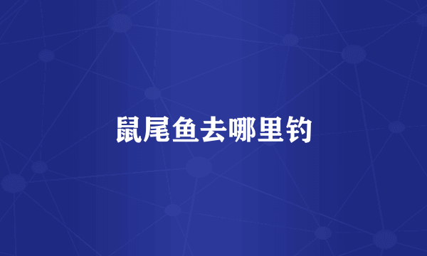 鼠尾鱼去哪里钓