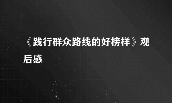《践行群众路线的好榜样》观后感