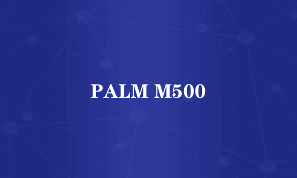 PALM M500