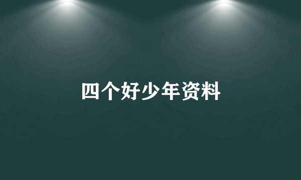 四个好少年资料