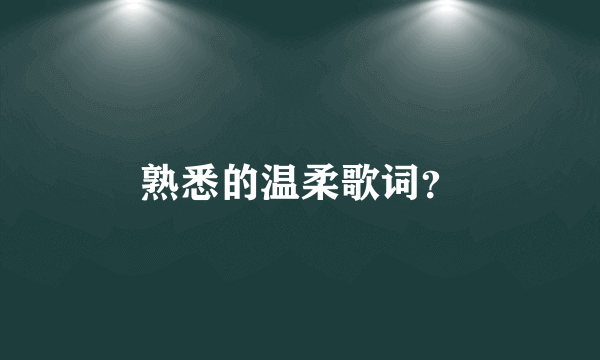 熟悉的温柔歌词？