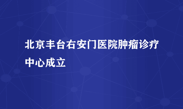 北京丰台右安门医院肿瘤诊疗中心成立