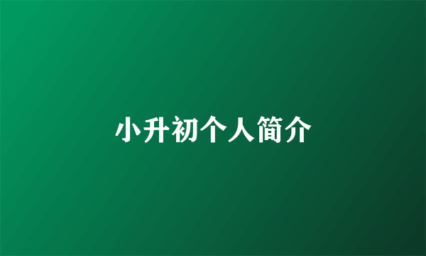 小升初个人简介
