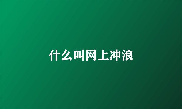 什么叫网上冲浪