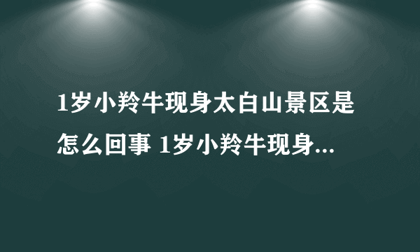 1岁小羚牛现身太白山景区是怎么回事 1岁小羚牛现身太白山景区长什么样