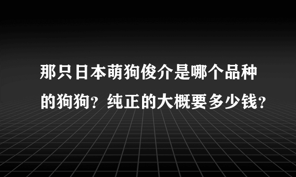 那只日本萌狗俊介是哪个品种的狗狗？纯正的大概要多少钱？