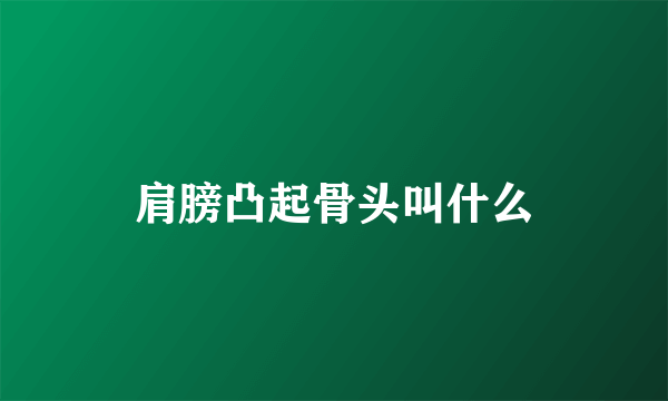 肩膀凸起骨头叫什么