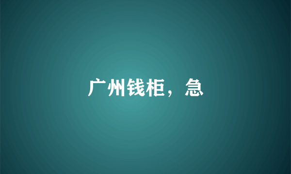 广州钱柜，急