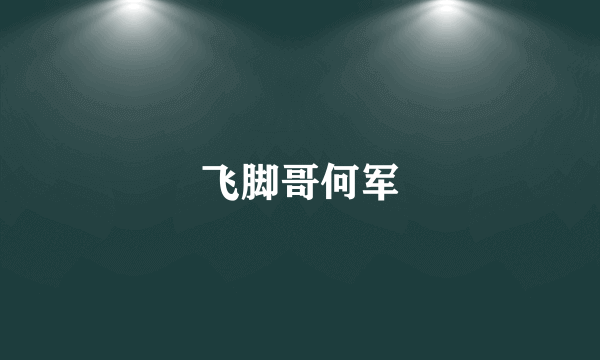 飞脚哥何军