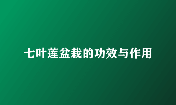 七叶莲盆栽的功效与作用