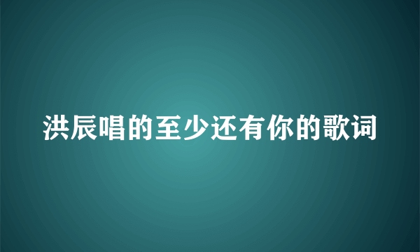洪辰唱的至少还有你的歌词
