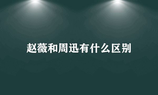 赵薇和周迅有什么区别