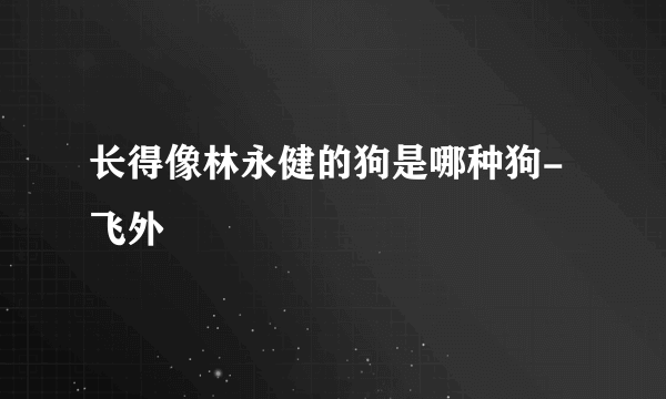 长得像林永健的狗是哪种狗-飞外