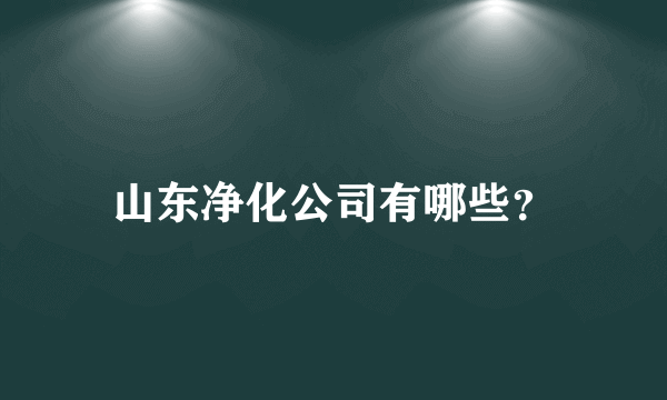 山东净化公司有哪些？