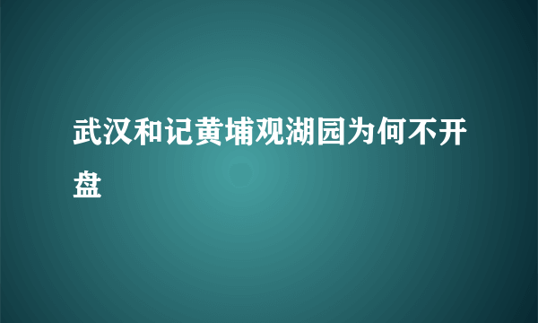 武汉和记黄埔观湖园为何不开盘