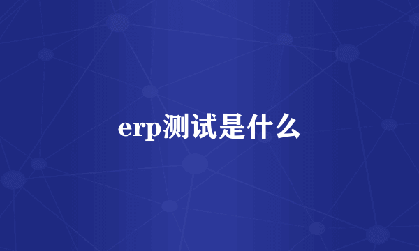 erp测试是什么