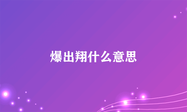 爆出翔什么意思