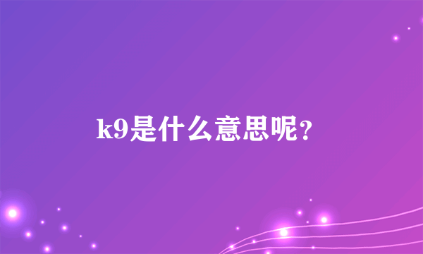 k9是什么意思呢？