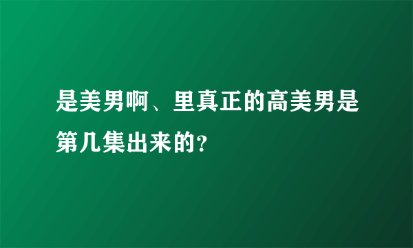 是美男啊、里真正的高美男是第几集出来的？
