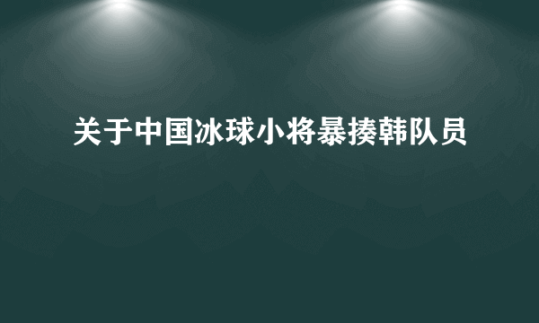 关于中国冰球小将暴揍韩队员