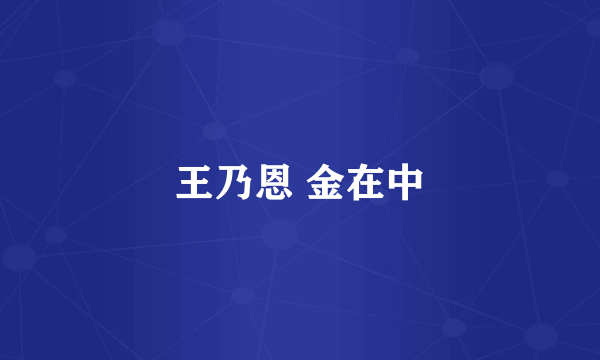 王乃恩 金在中