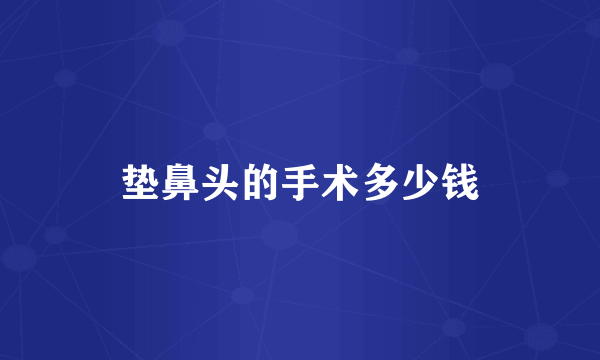垫鼻头的手术多少钱