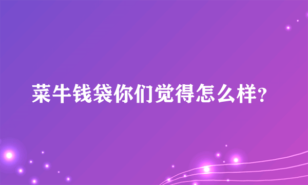 菜牛钱袋你们觉得怎么样？